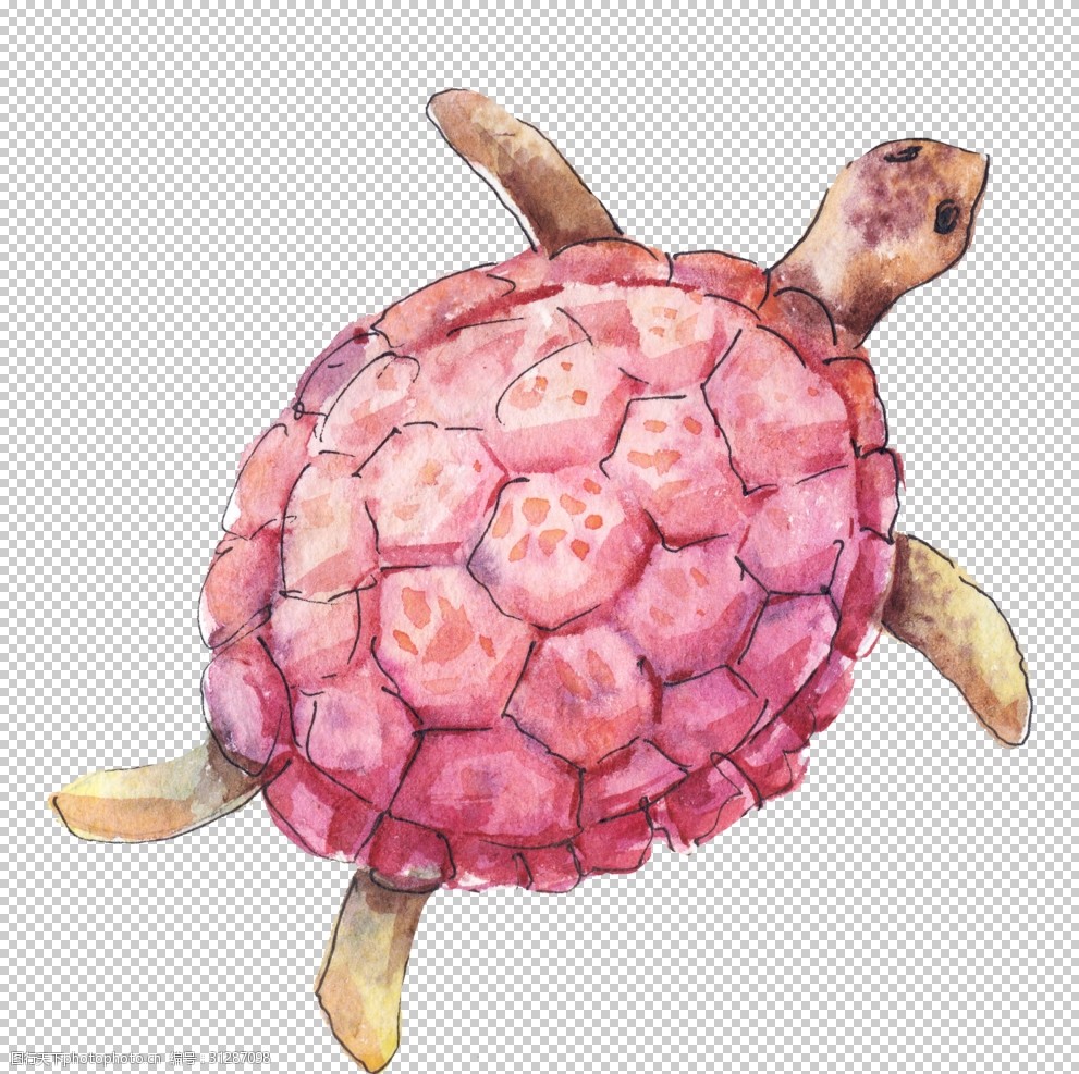 红色海龟绘画图案