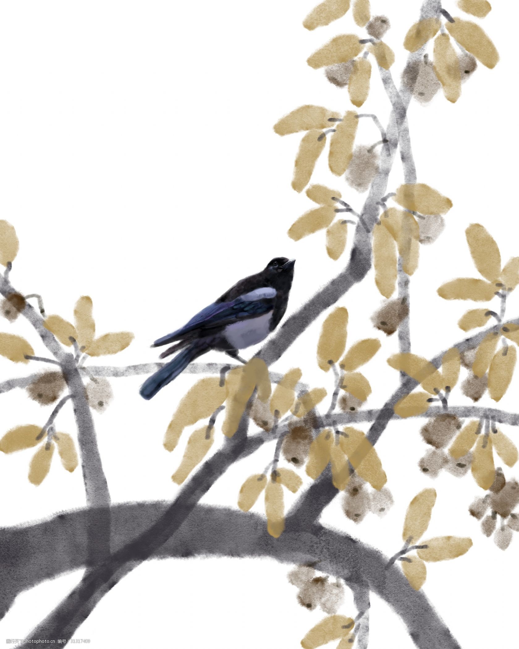 手绘鸟和树枝插画