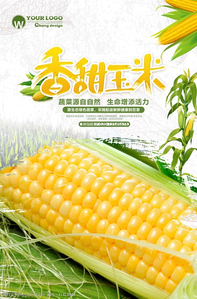 田园玉米海报设计