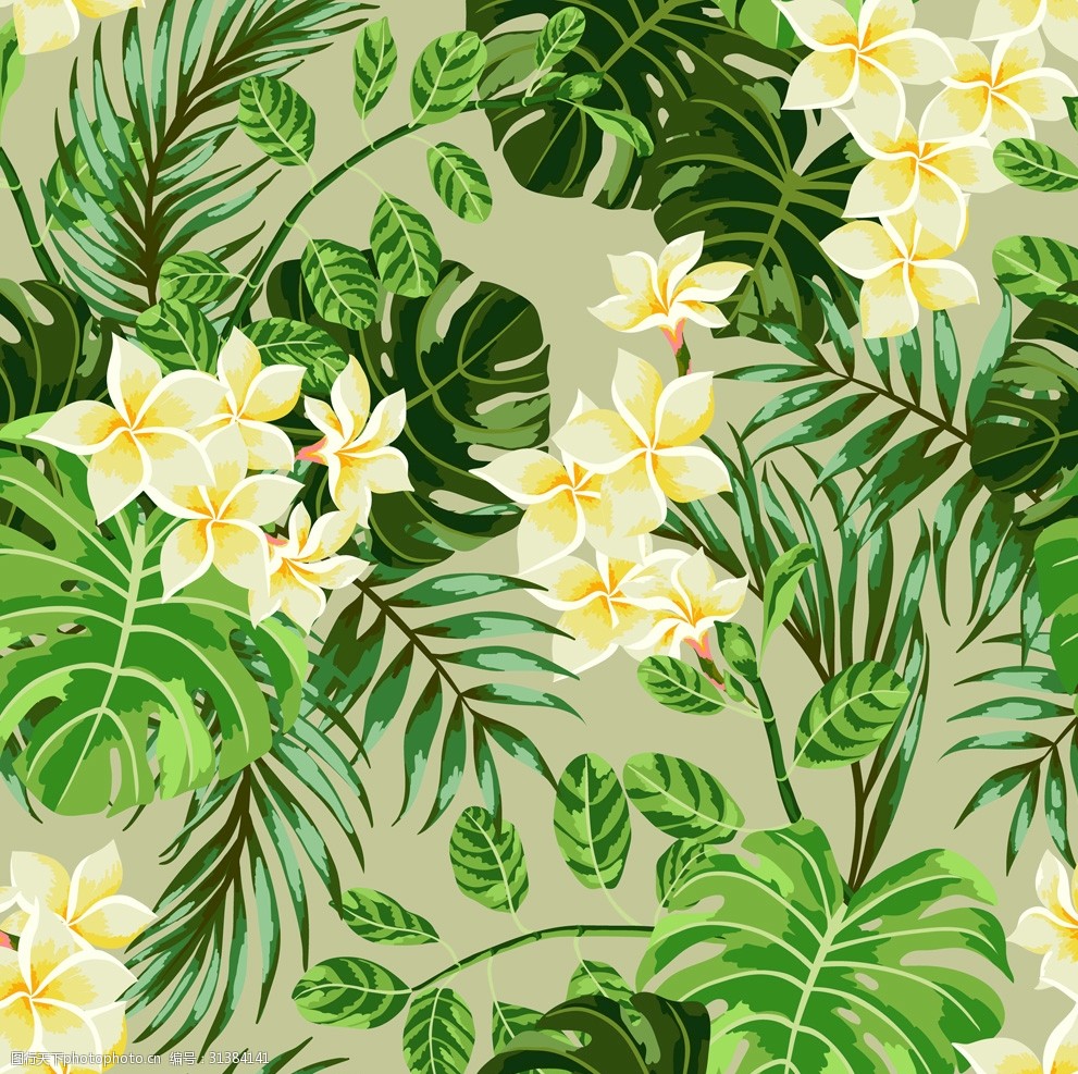 热带植物花卉背景