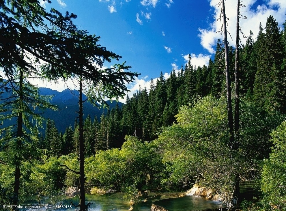 清新自然風景