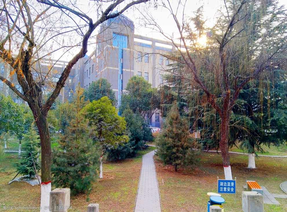 關鍵詞:美麗的校園風景 校園 道路 樹木 美景 夕陽 天空 多嬌江山