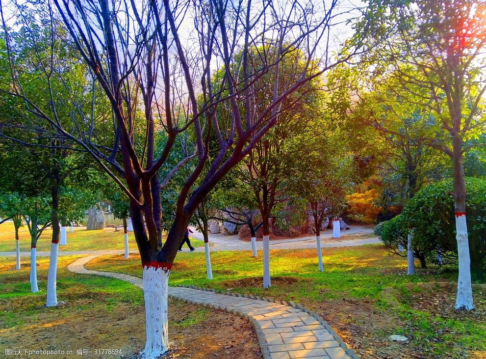 美麗的公園風景