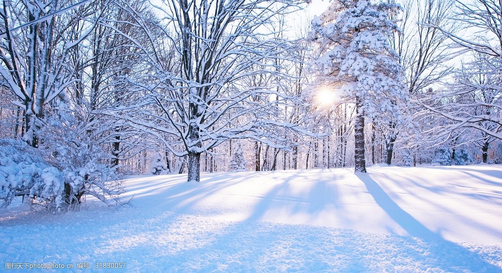 美丽的冬日景色图片-图行天下图库