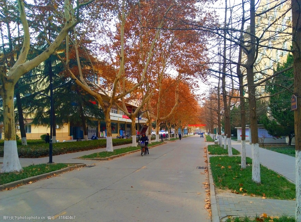 關鍵詞:美麗的校園風景 校園 道路 樹木 深秋 美景 天空 多嬌江山