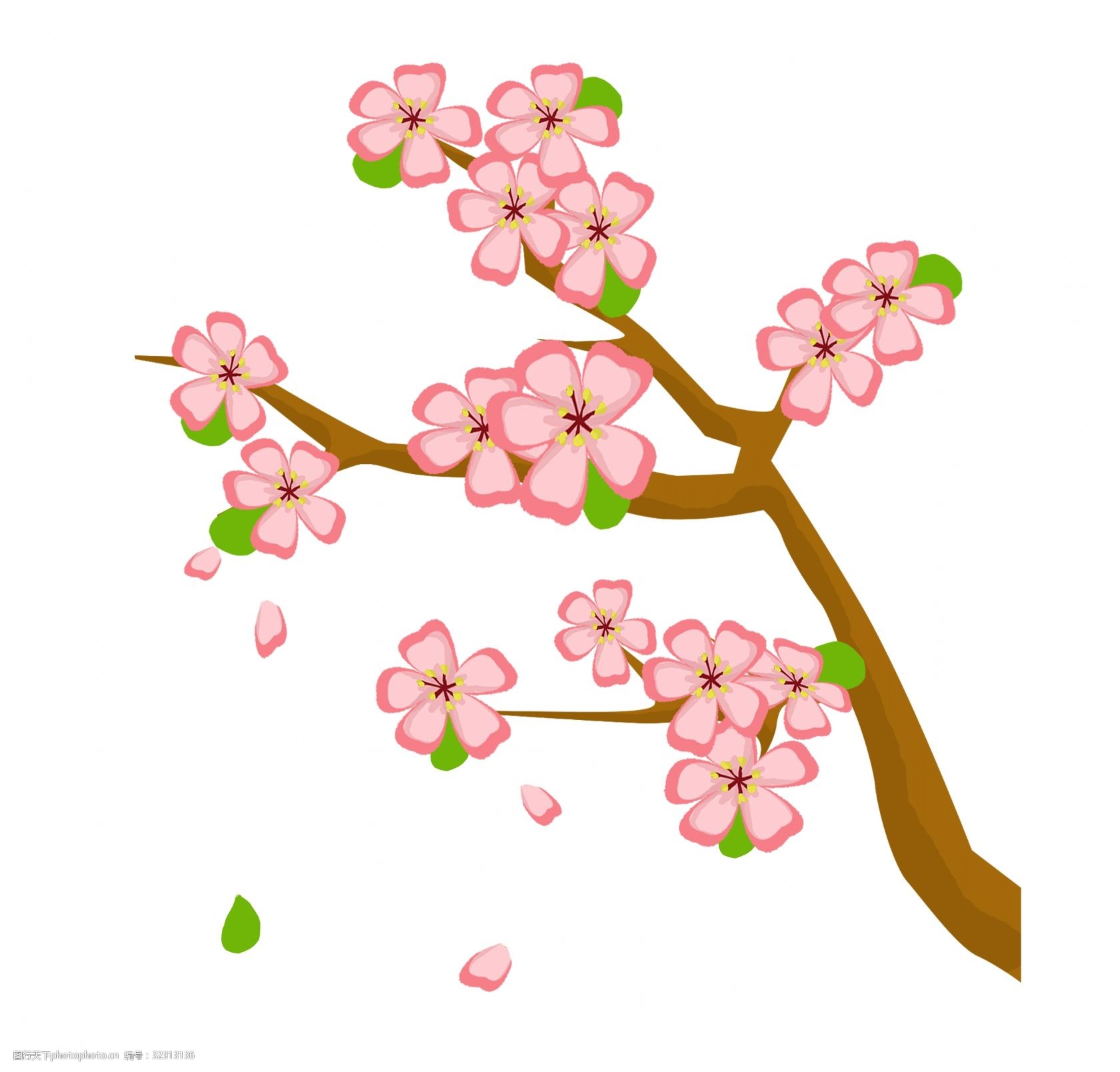 飘落的桃花手绘插画