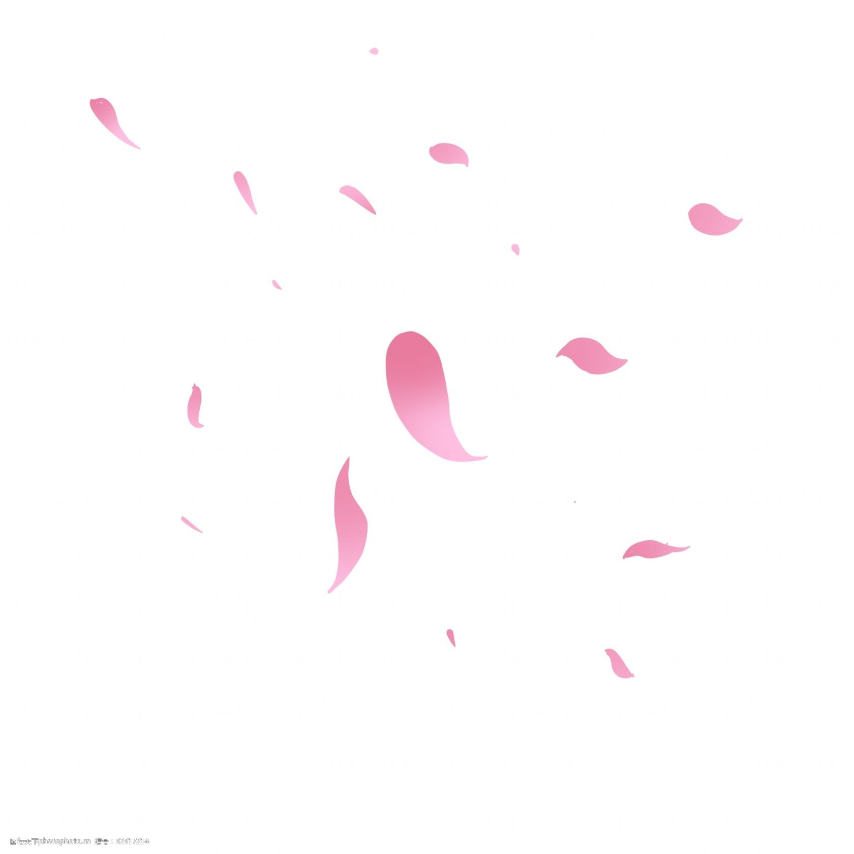 手绘粉红色花瓣装饰