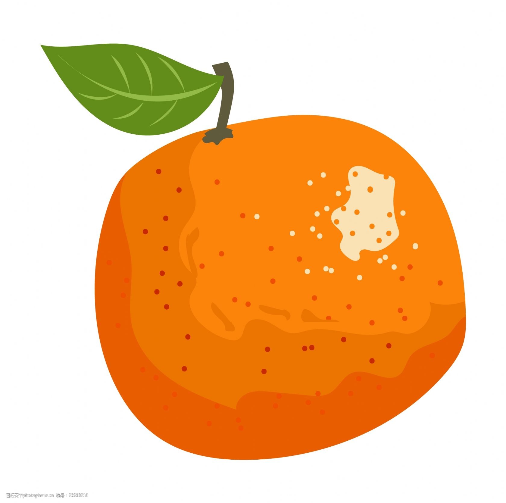 手绘水果橘子插画
