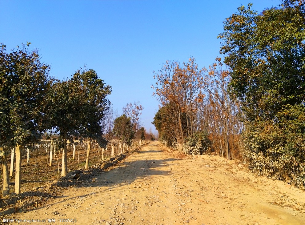 藍天下的鄉村風景