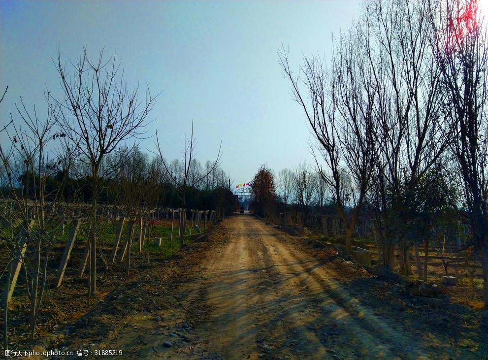 日暮下的鄉村風景