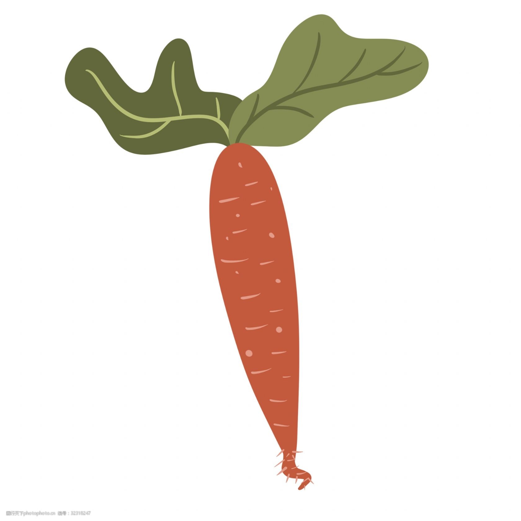 胡萝卜手绘卡通素材