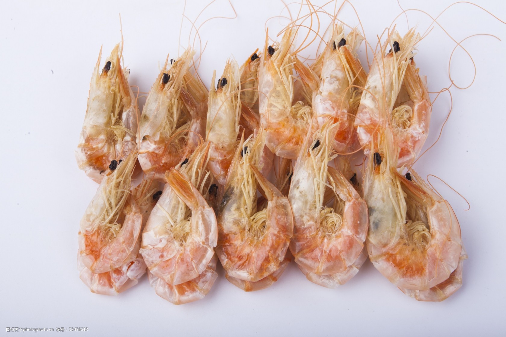 新鲜河虾实物图摄影图