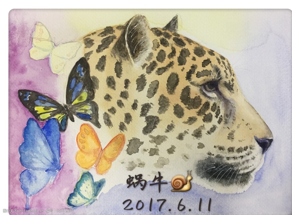 关键词:蝴蝶与花豹 花豹 野生动物 猛兽 豹 蝴蝶 水彩画 设计 生物