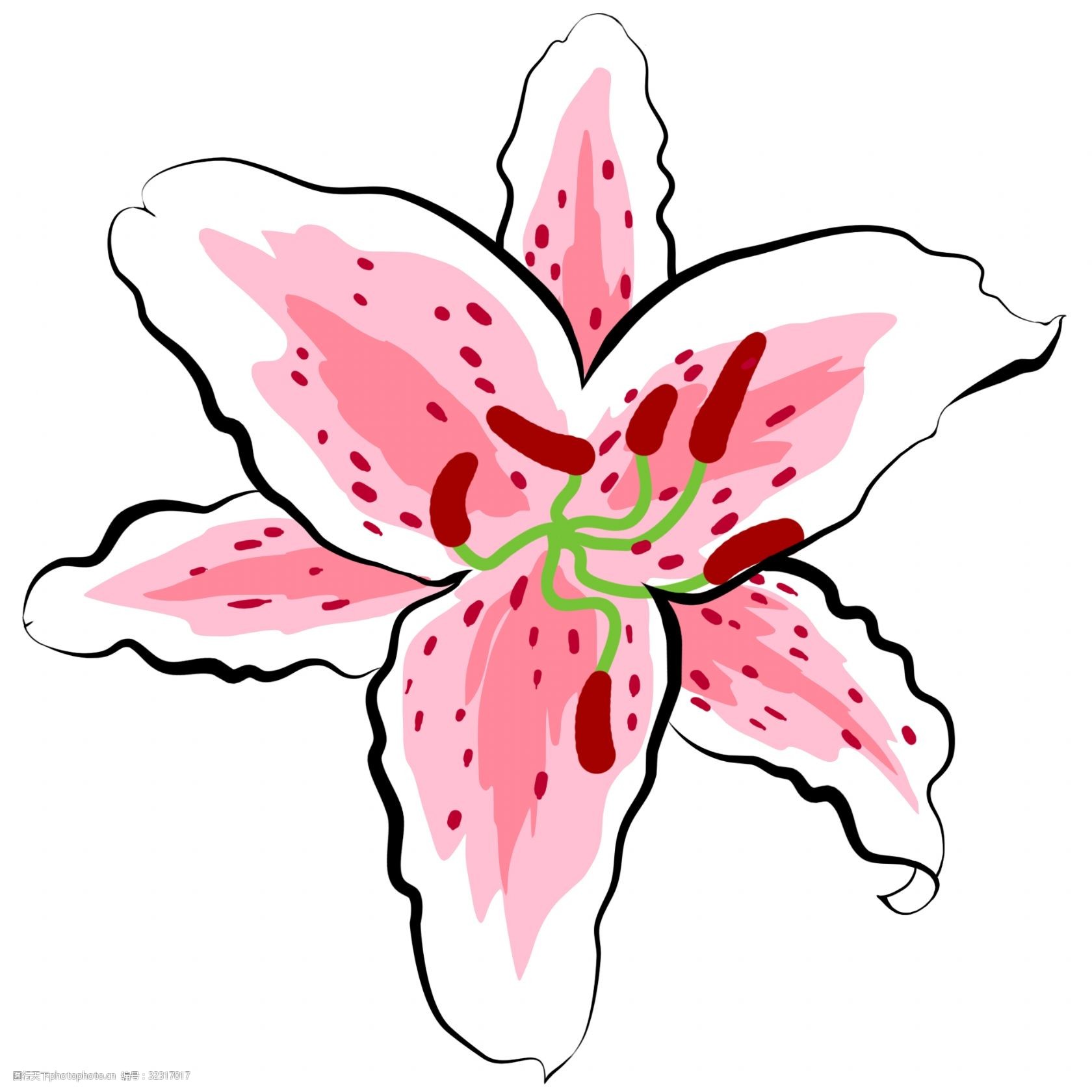 油画风格一朵百合花