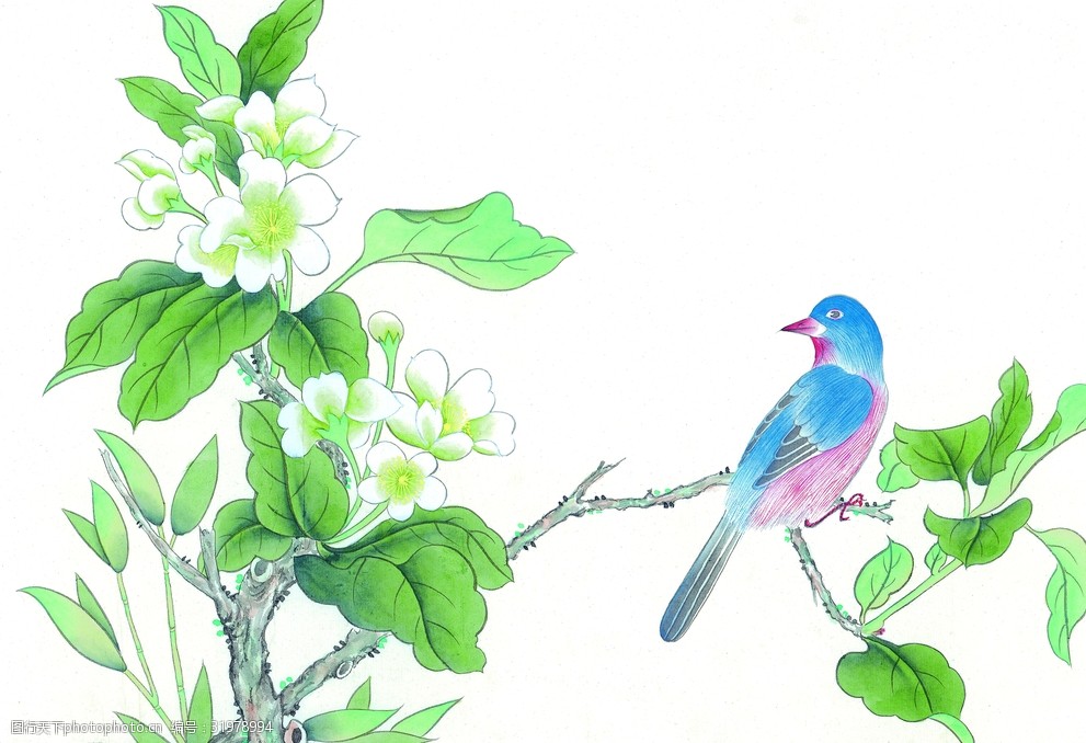 花鸟工笔画国画工笔画图片-图行天下图库