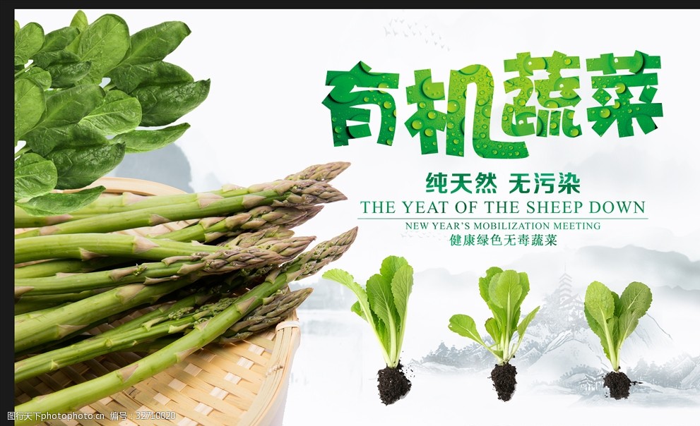 有机蔬菜海报
