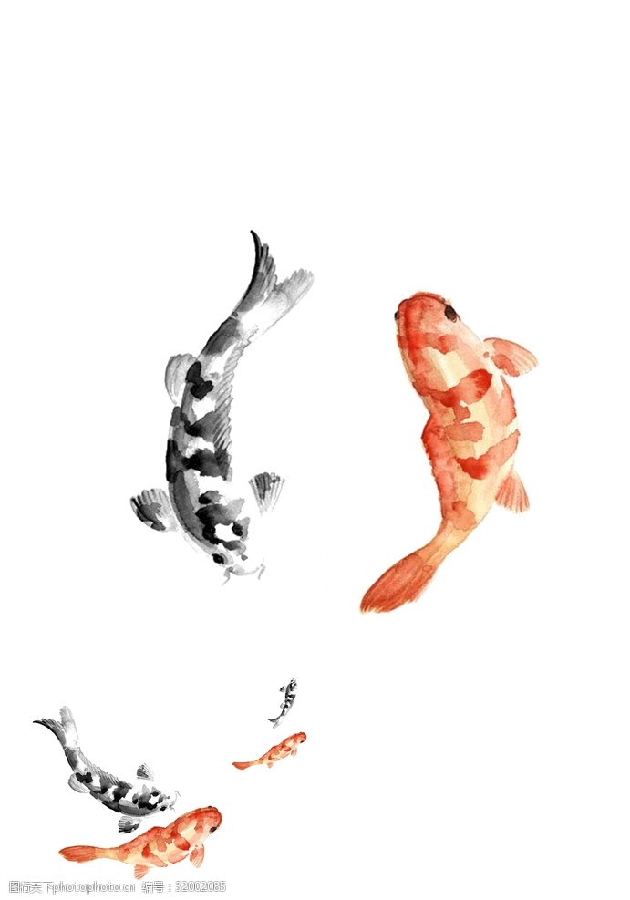 水墨中国风鲤鱼