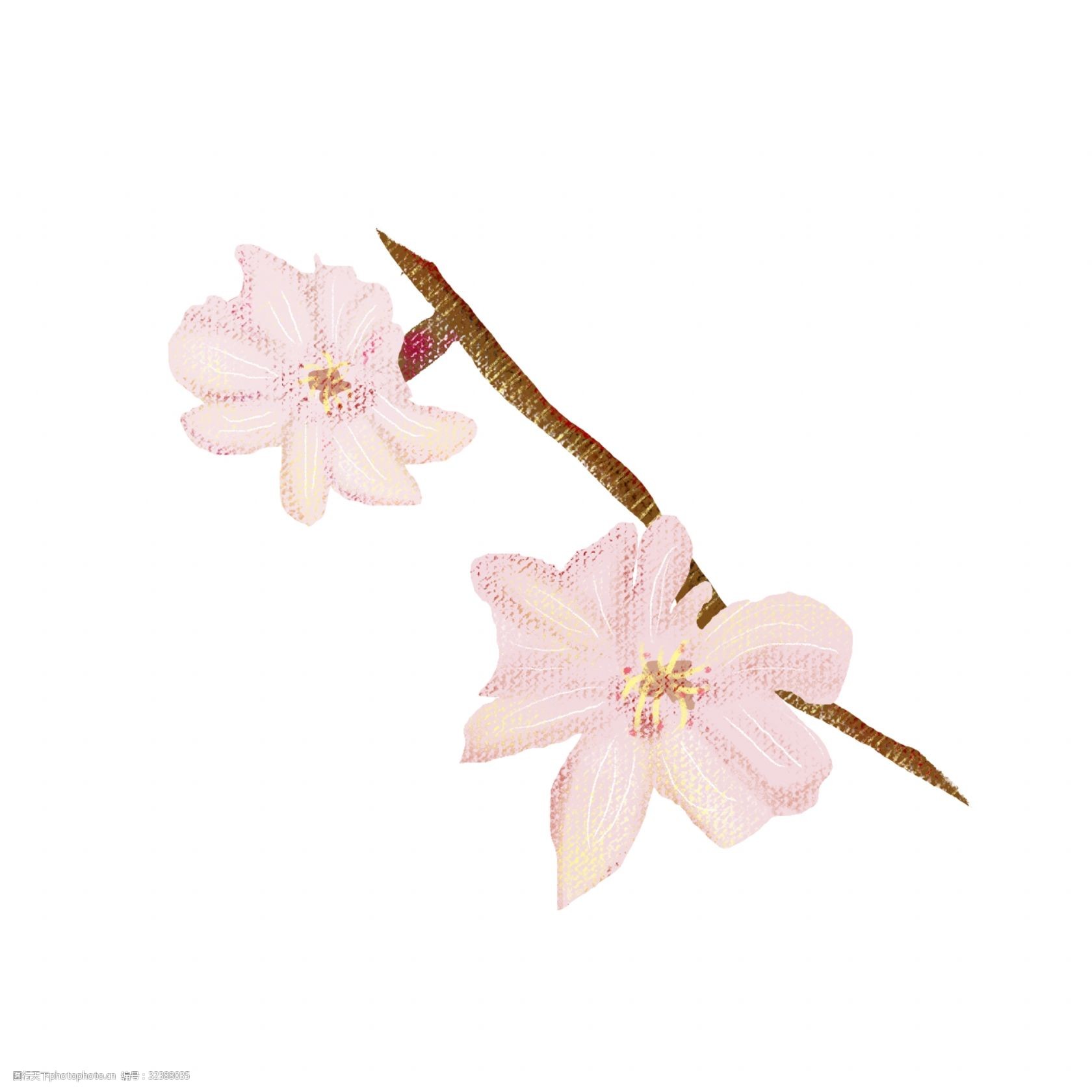 粉色樱花树枝png图片