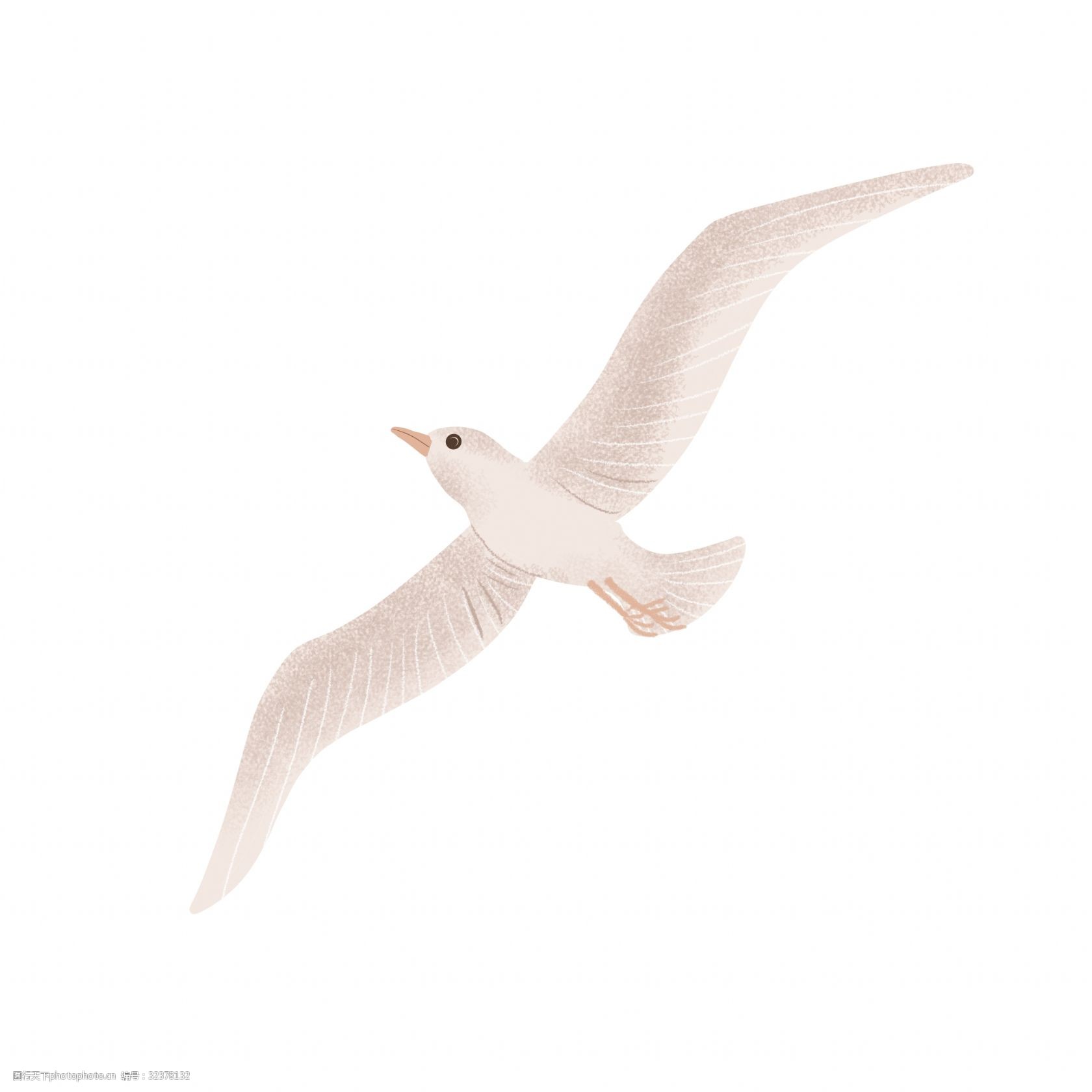 颗粒感飞翔的海鸥插画png图片