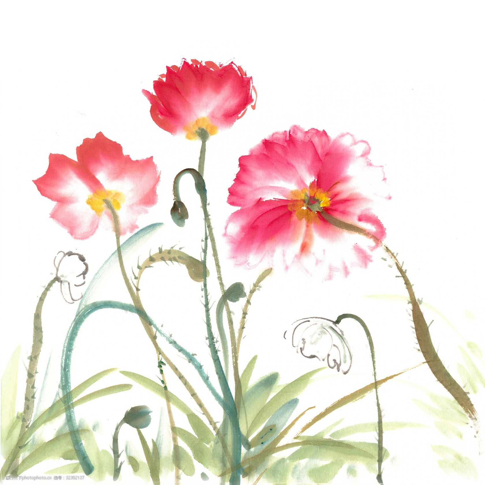 优美的虞美人水墨画png免抠素材