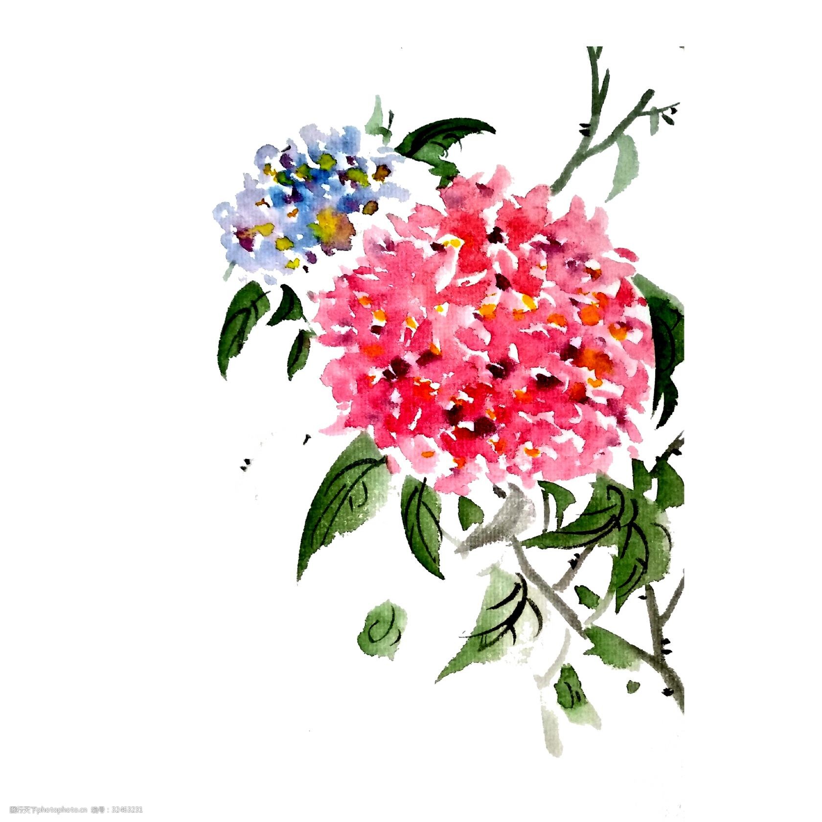 国画谁弄绣球花团紫阳花png植物