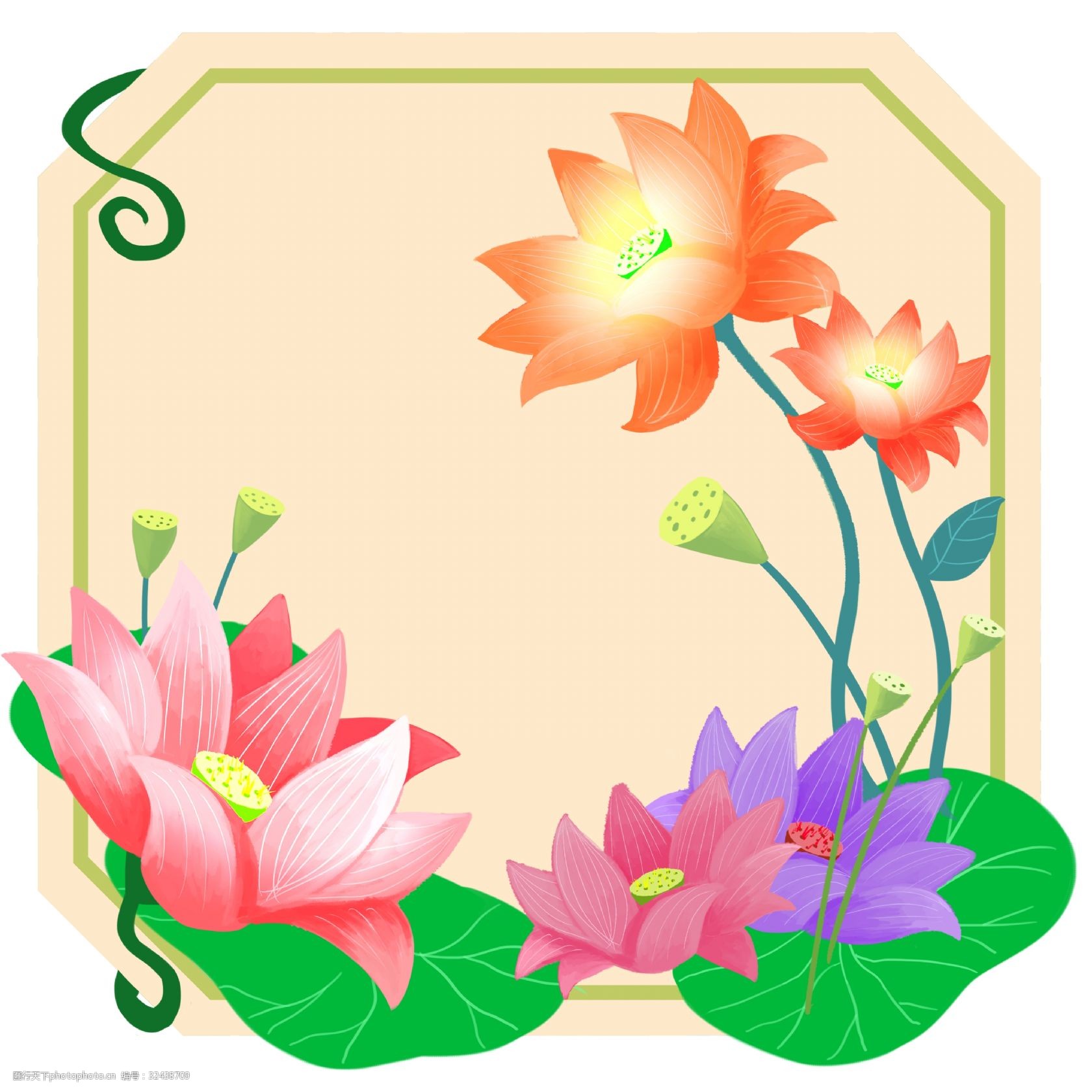 荷叶莲蓬荷花边框