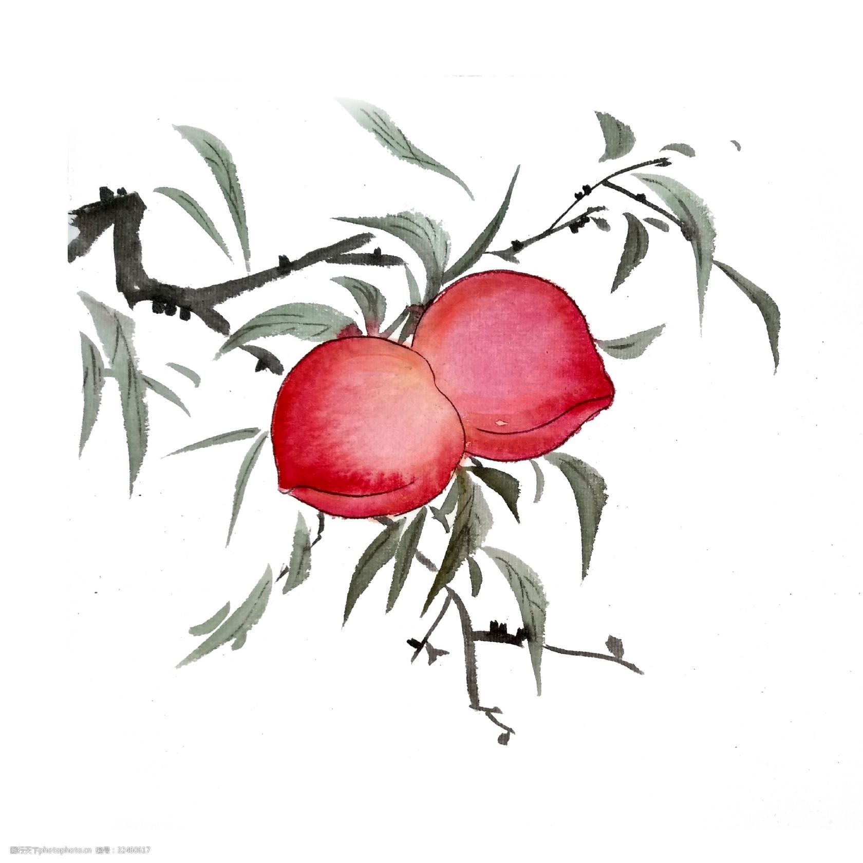 桃子水蜜桃国画水墨鲜果蟠桃png