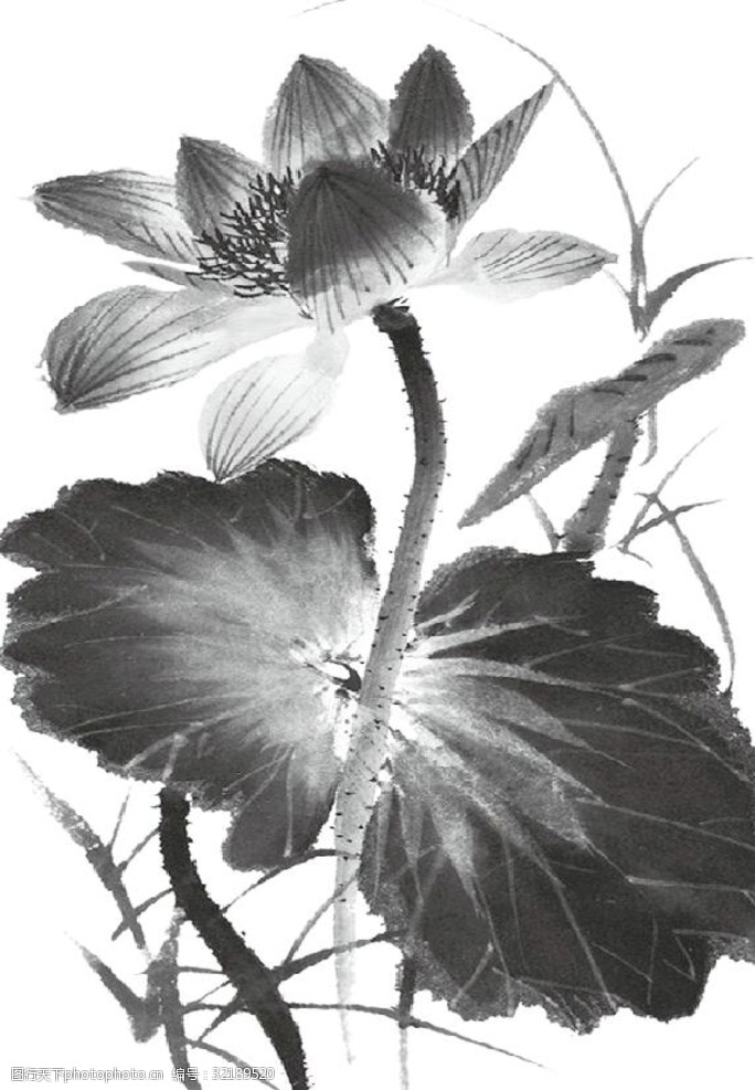 水墨荷花图片 图行天下素材网