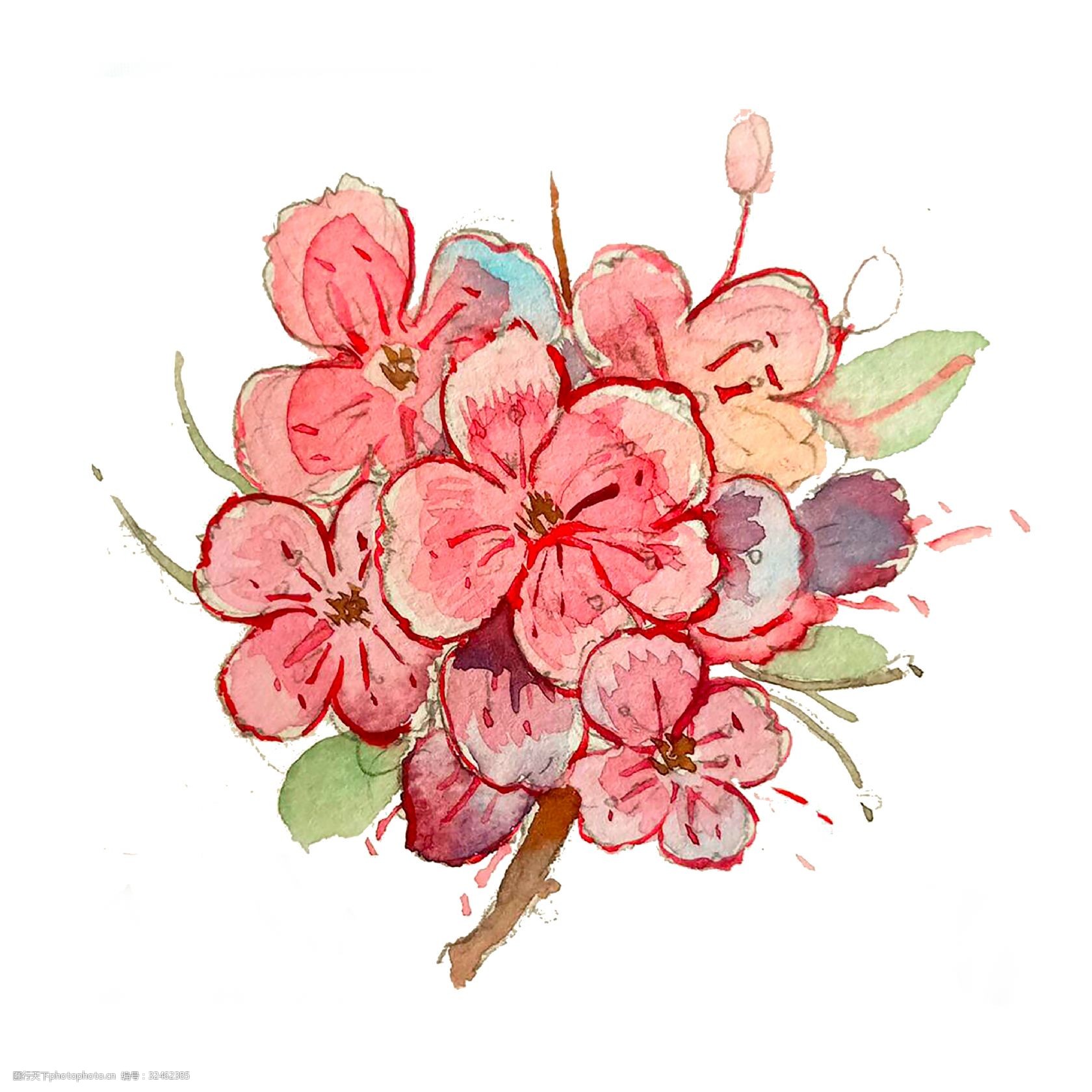 紫阳花绣球花粉色水红png植物花团