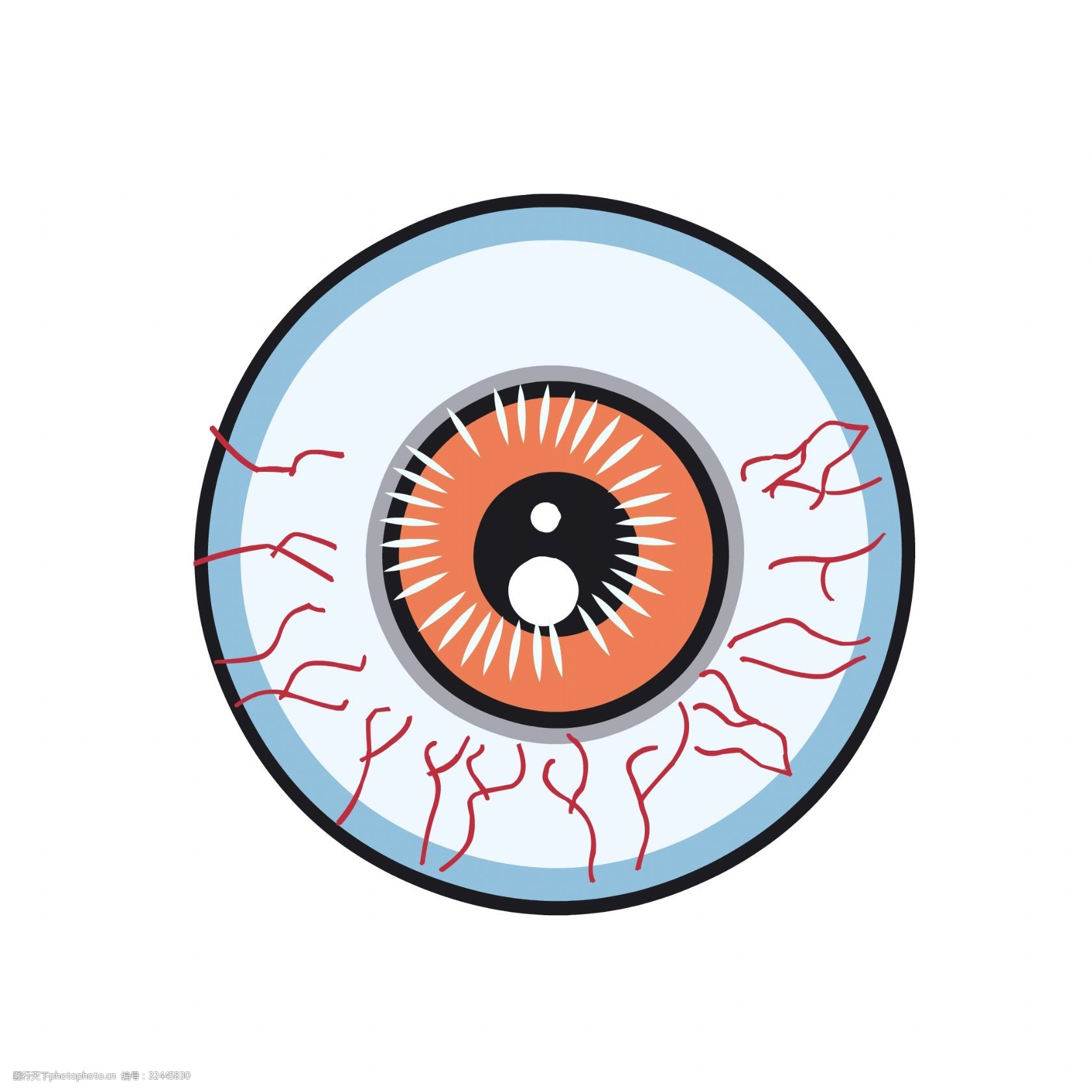 带血丝的眼球手绘人体器官人体五官眼睛结构