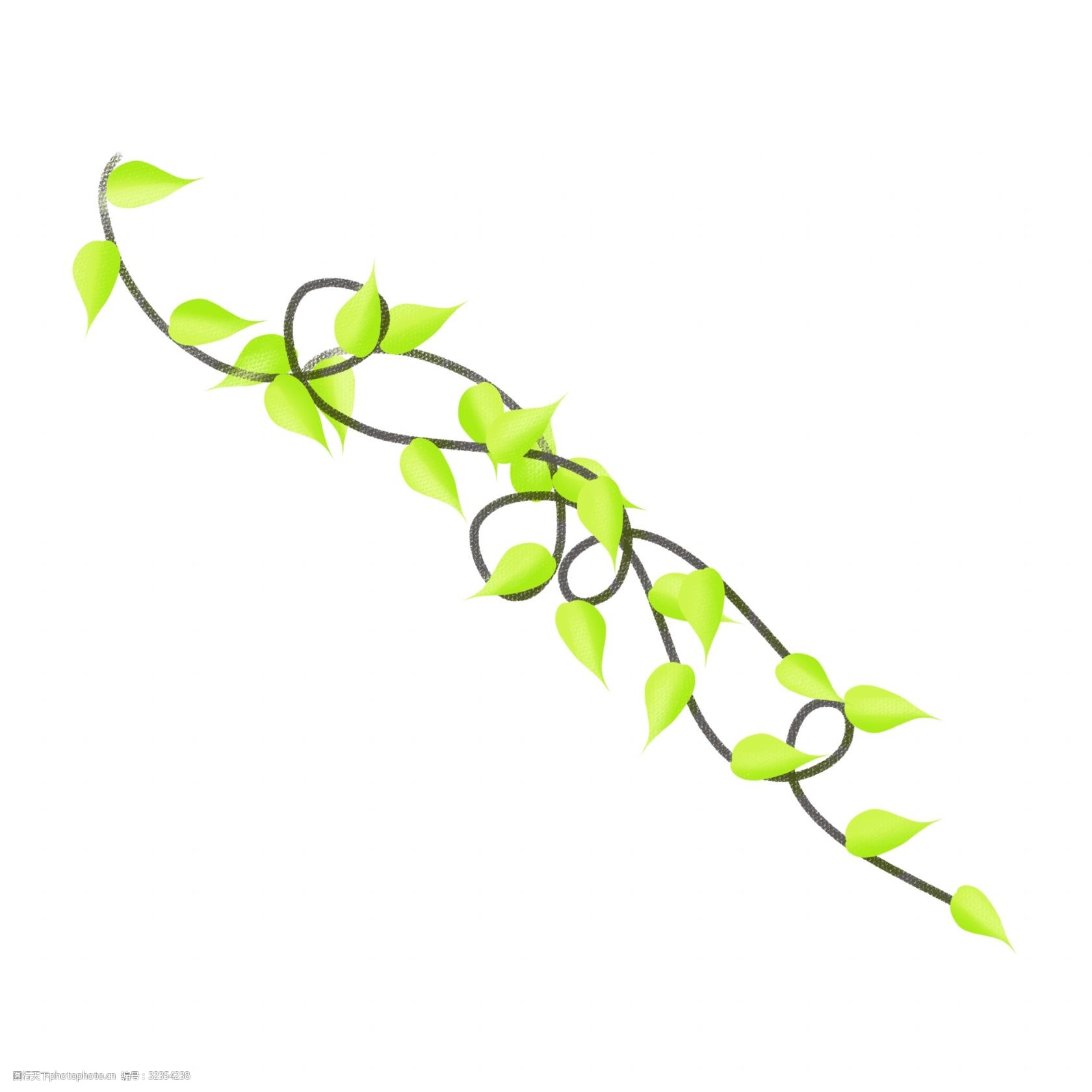春夏绿色藤蔓png素材