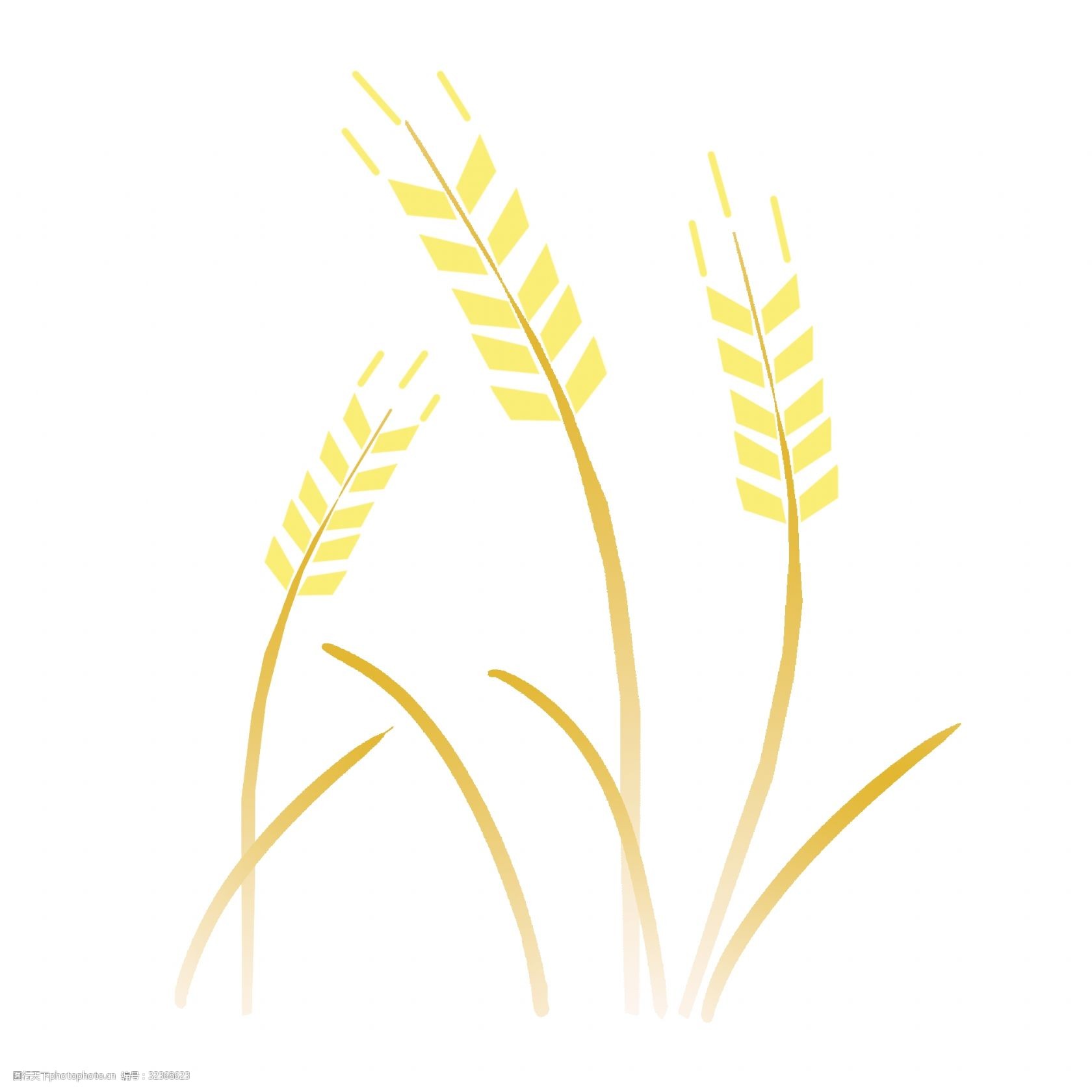 成熟的麦穗 黄色麦穗 三根麦穗 金灿灿的麦穗 分手季节 卡通植物 农