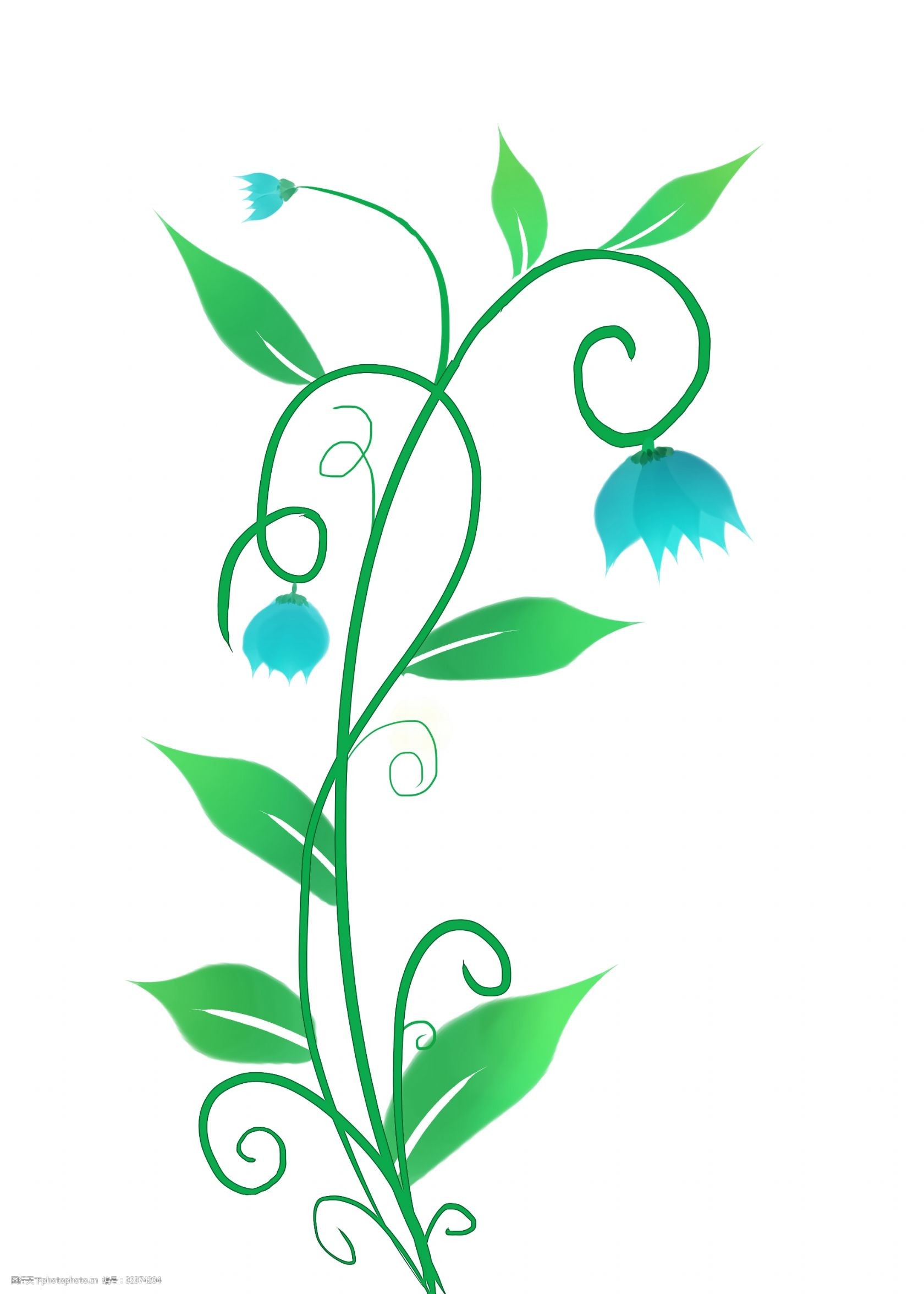 卡通花藤 花枝装饰 花卉 绿叶 绿色植物 绿叶藤蔓 春天的植物插画