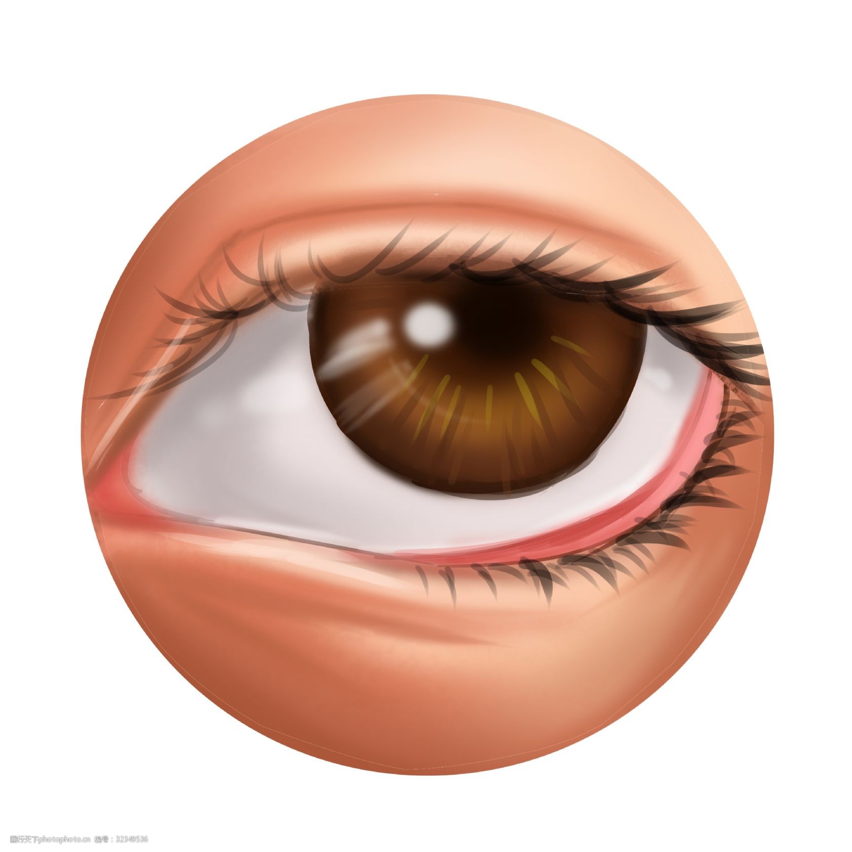 卡通插画 人体器官 五官插画 器官插画 眼睛器官 明亮的眼睛 好看的