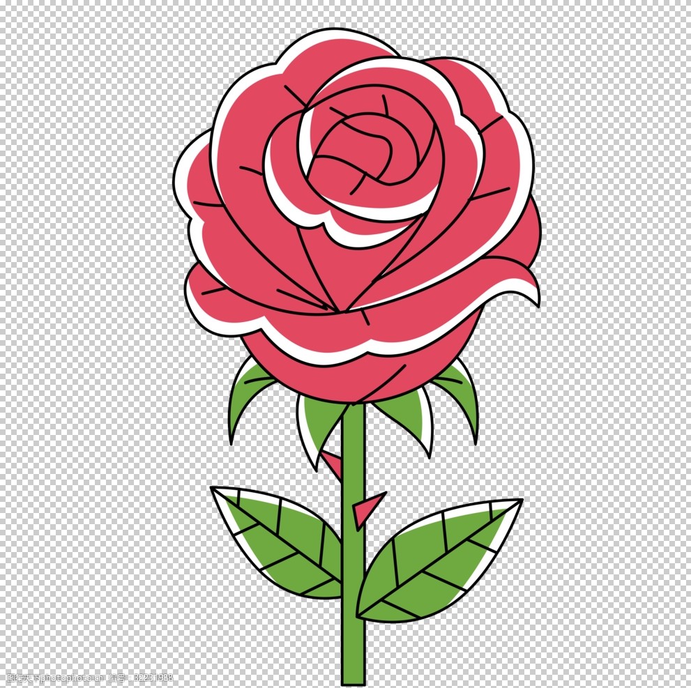玫瑰花的照片卡通图片图片