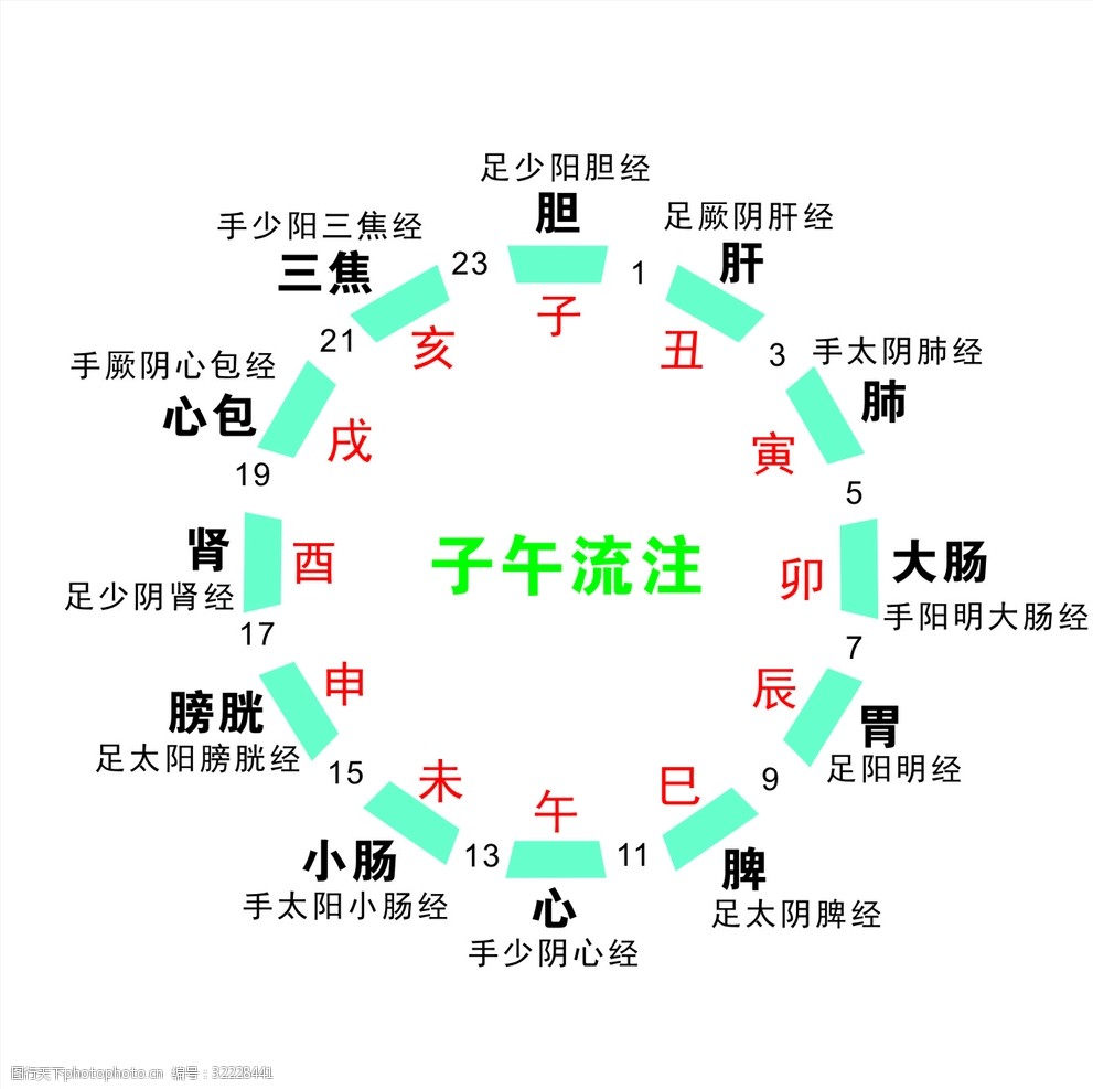 子午流注图片 图行天下素材网