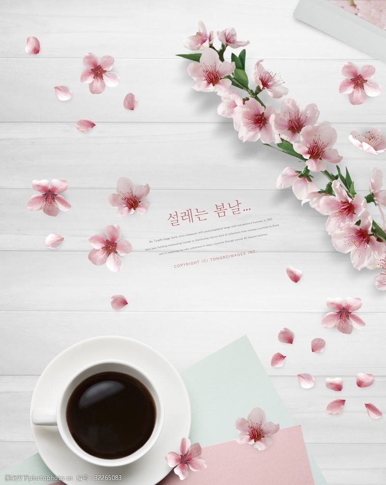 韩式春季情调海报图片-图行天下图库