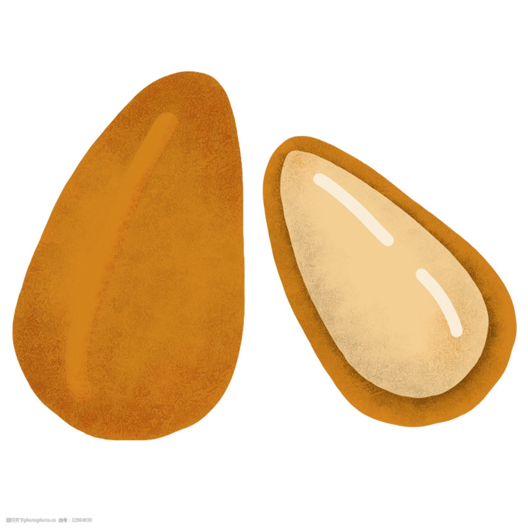 坚果松子卡通插画