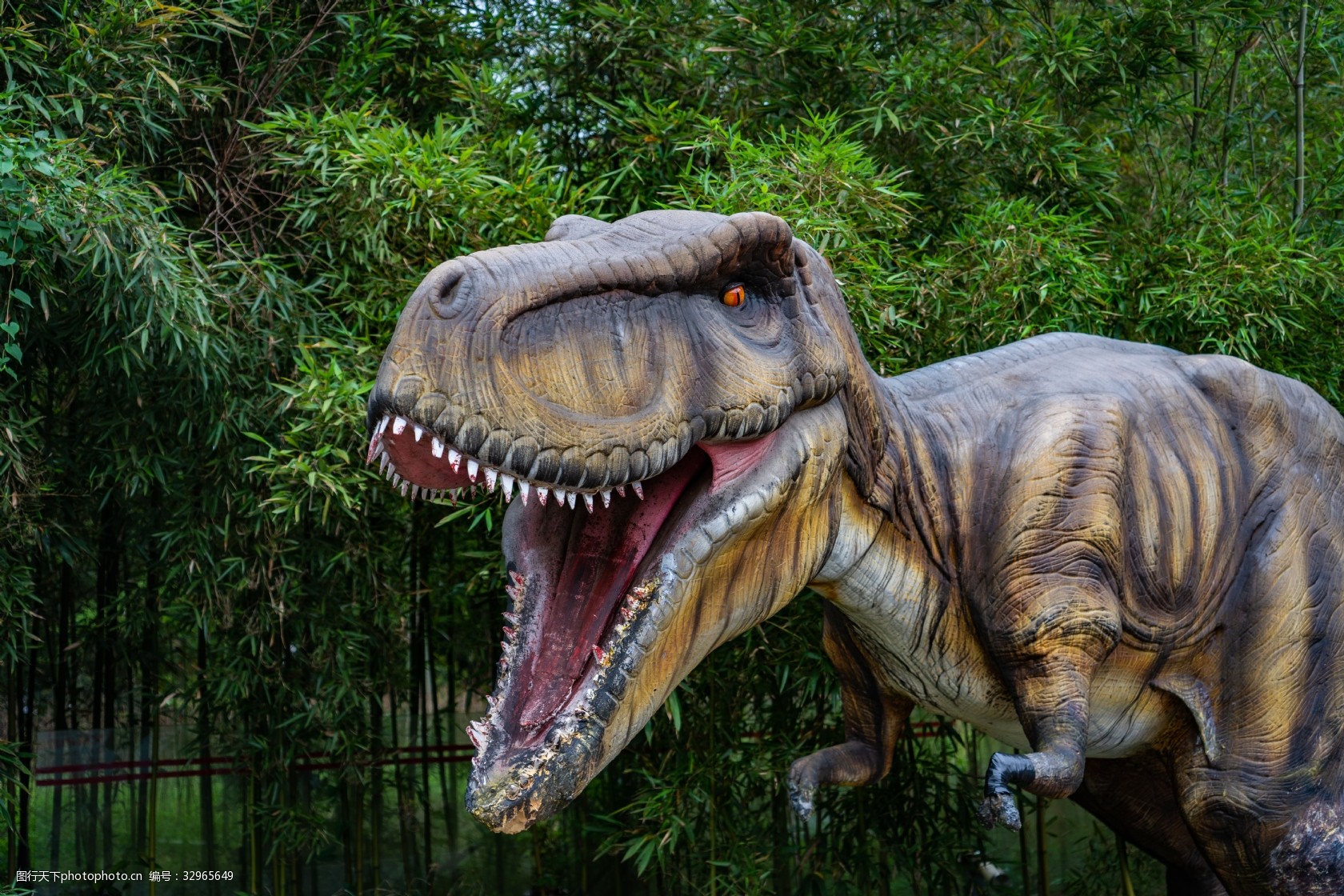 恐龙迅猛龙模型摄影