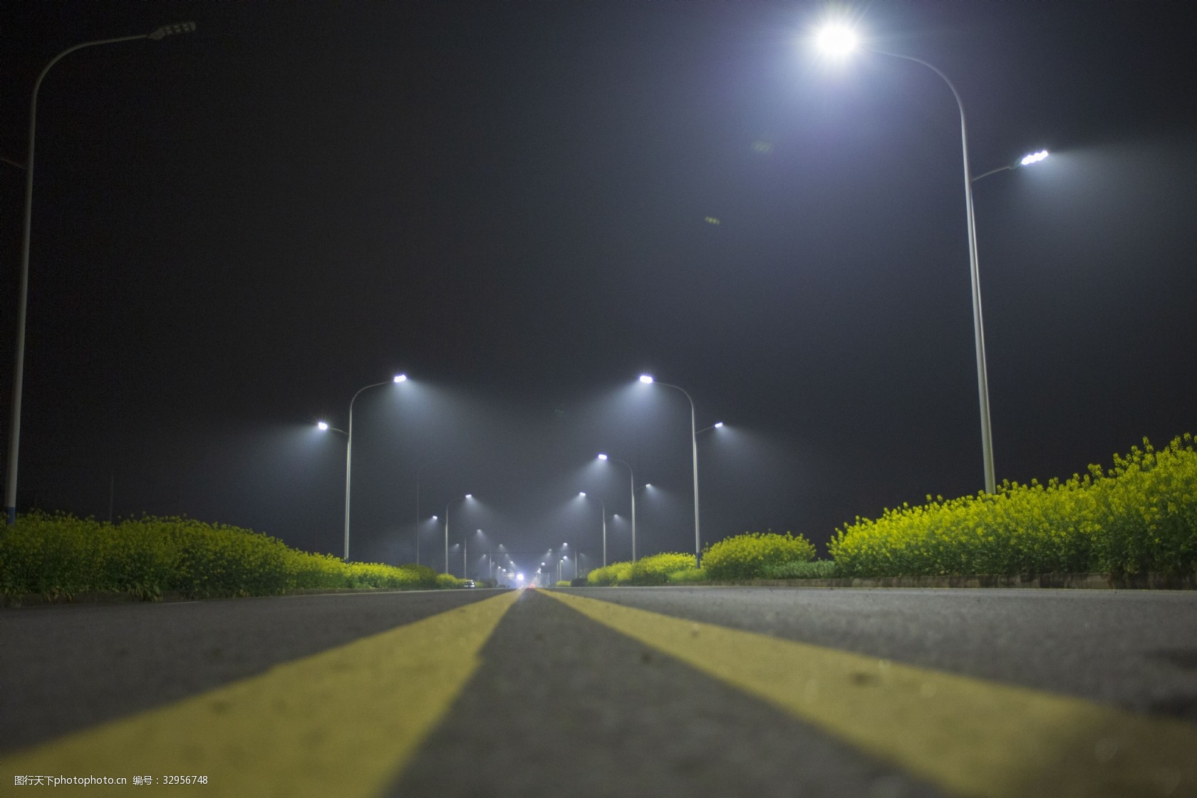 關鍵詞:夜晚的燈光商用攝影 夜晚 春天 油菜花 馬路 植物 冷色調 燈光