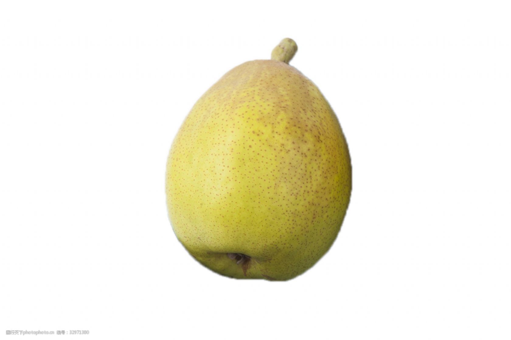 一个清脆的大香梨