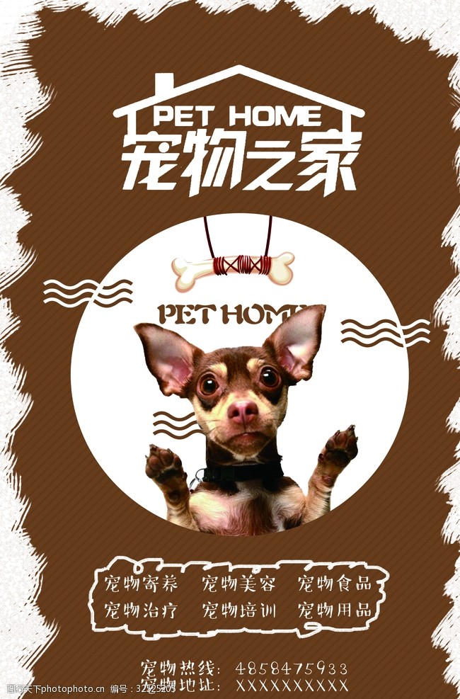 宠物海报万千宠爱一生相伴