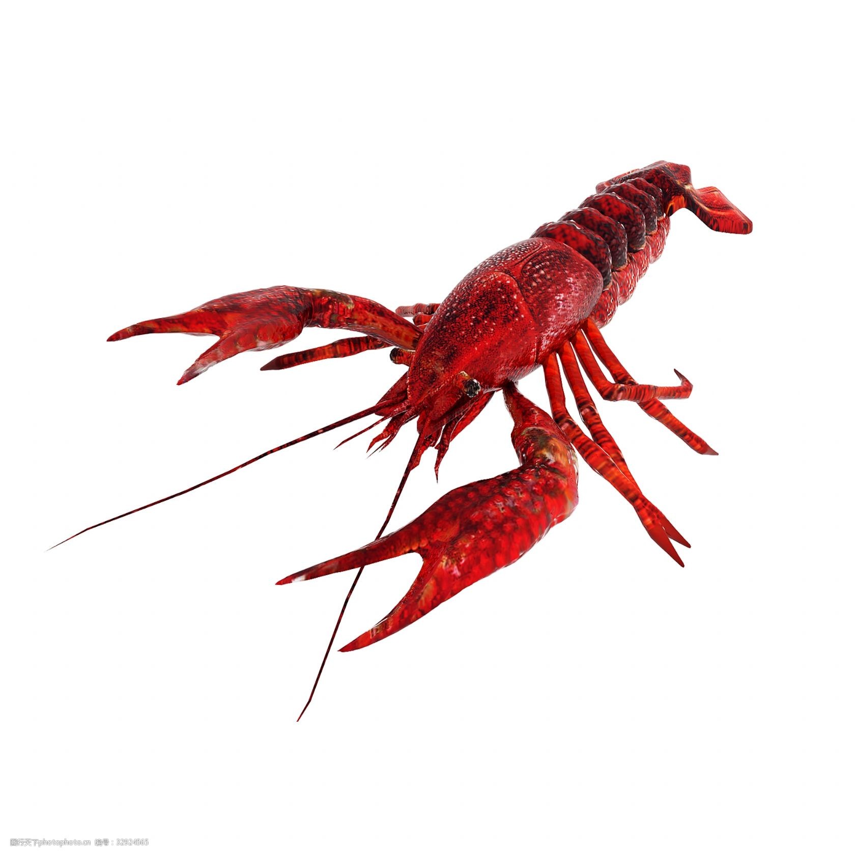 仿真小龙虾png图