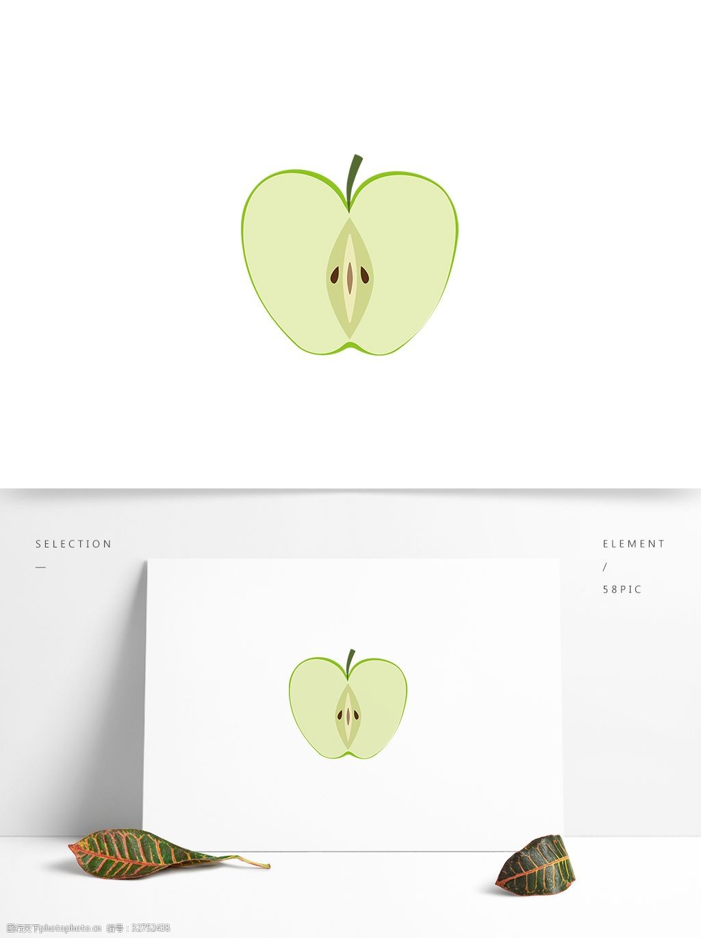 苹果横切纵切图片手绘图片