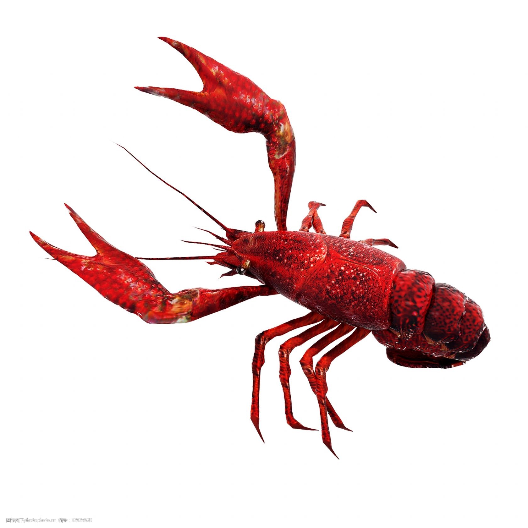 质感小龙虾png图