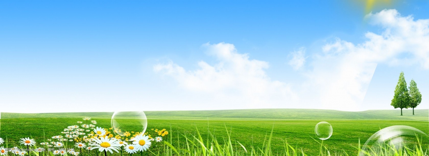 清新草坪绿色banner