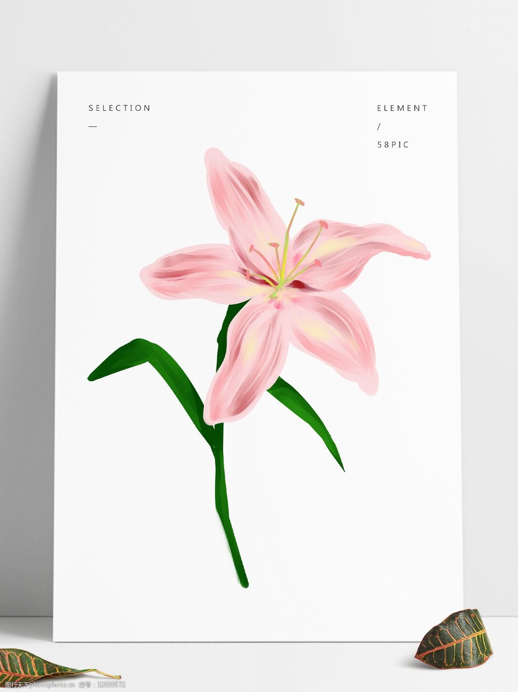 手绘粉百合装饰图案