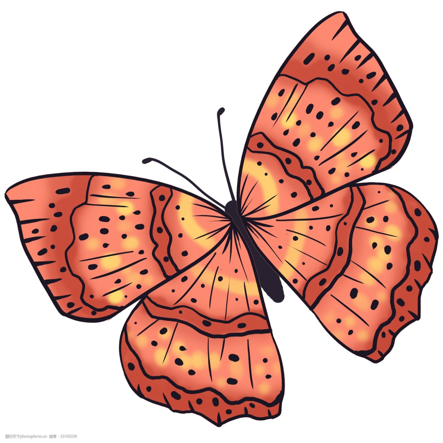 动物昆虫蝴蝶红棕色图片-图行天下图库