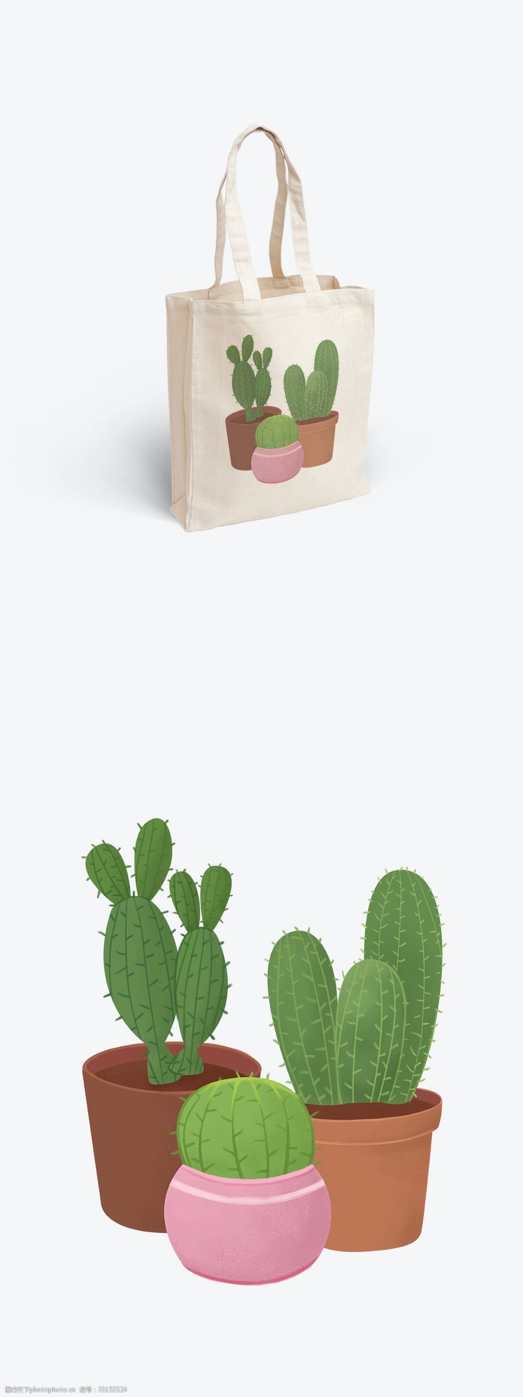帆布袋包装仙人掌小清新插画