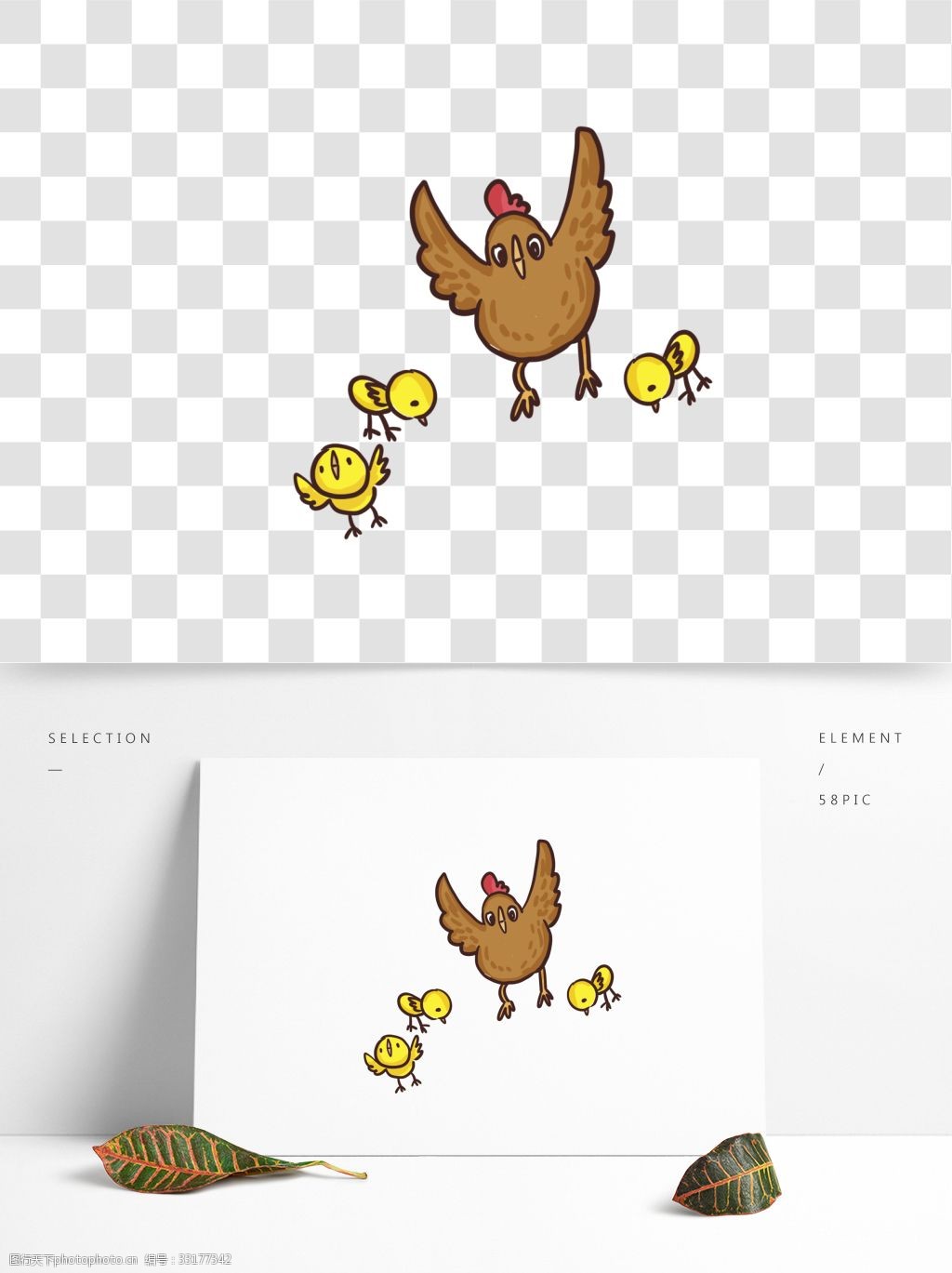 小鸡生长过程手绘插画卡通套图图片素材-编号31033718-图行天下
